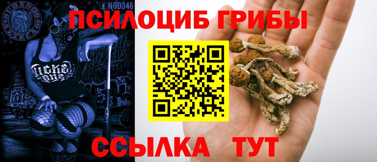где купить наркоту  Вход с VPN  Сочи  Псилоцибиновые грибы ЛСД  Галлюциногенные грибы ЛСД 
